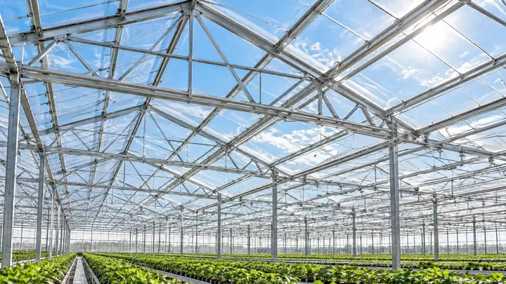 Greenhouse Frames: Aluminum vs Galvanized Steel vs Wood Compared — illustrative image