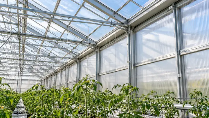 Greenhouse Panels: Polycarbonate vs Glass vs Film Compared