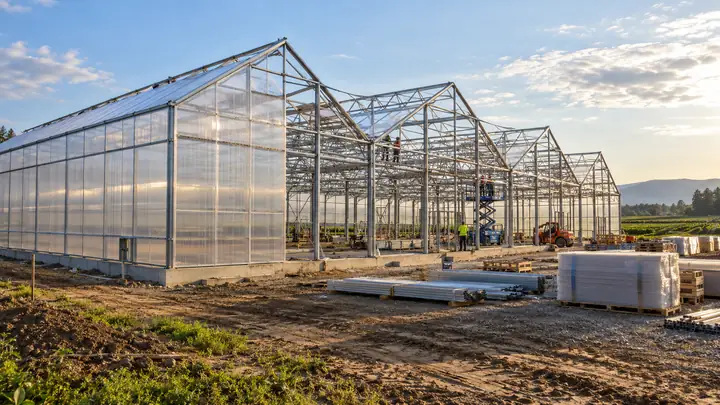 How to Build a Greenhouse: Plans, Foundation, Framing and Cost — illustrative image