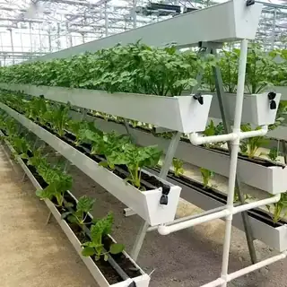 Ornamental A-frame planting system with crops