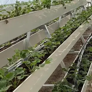 A-shaped steel frame with multi-layer planting channels