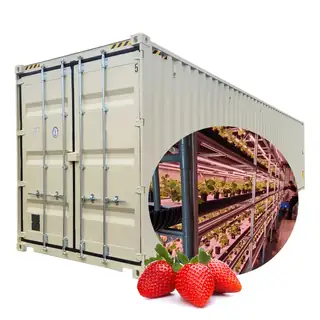 Urban vertical farming container with hydroponic racks