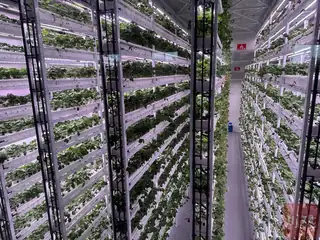 High-yield indoor vertical plant factory