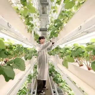 Indoor vertical plant factory with stacked growing layers