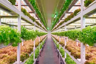 Eco-friendly 3D plant factory with lighting and recycling pumps