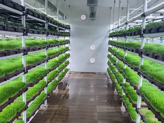 Shipping container hydroponic forage system with PLC control