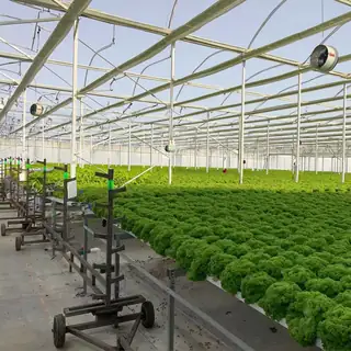 Flat food-grade PVC NFT hydroponic system