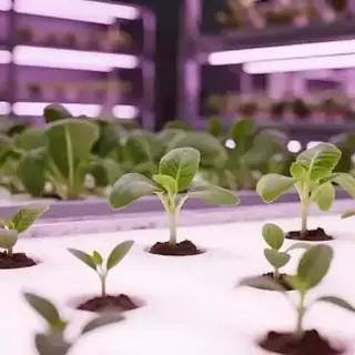 Container plant factory with automated environmental controls