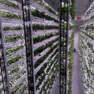 Indoor vertical farming plant factory with climate control