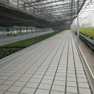 Greenhouse tidal hydroponic rolling bench