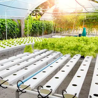 Vertical NFT hydroponic pipe system for home use