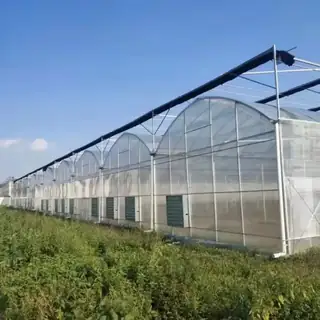 Large multi-span steel frame greenhouse