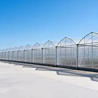 Multi-span polycarbonate tunnel greenhouse on a farm