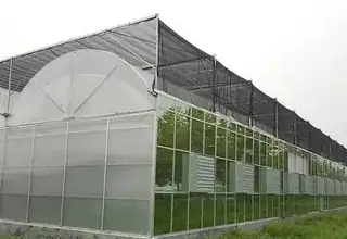 IoT polycarbonate gear greenhouse with vegetables