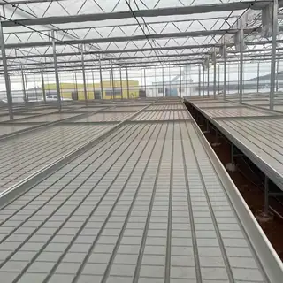 Portable tidal seedbed with vegetable seedlings