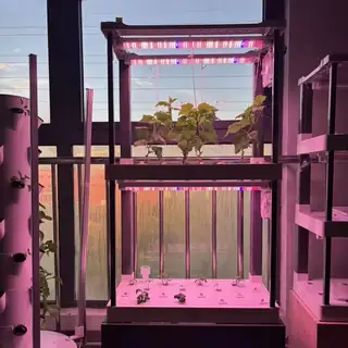 Small multi-layer planting cabinet with leafy greens