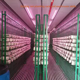 Modular smart mushroom cultivation cabin