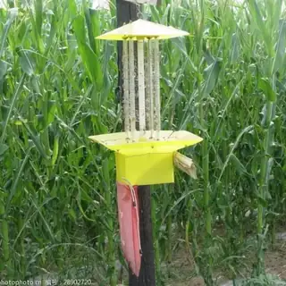 Solar 21W LED pest control lamp in an orchard