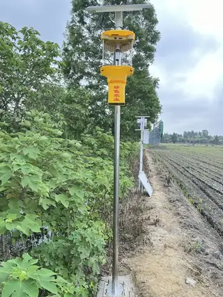 Solar LED black-light pest lamp beside a fish pond