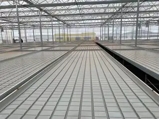 Recirculating tidal seedling tray with young plants