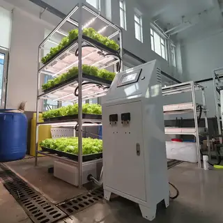 QW-04 vertical aeroponic home vegetable grower